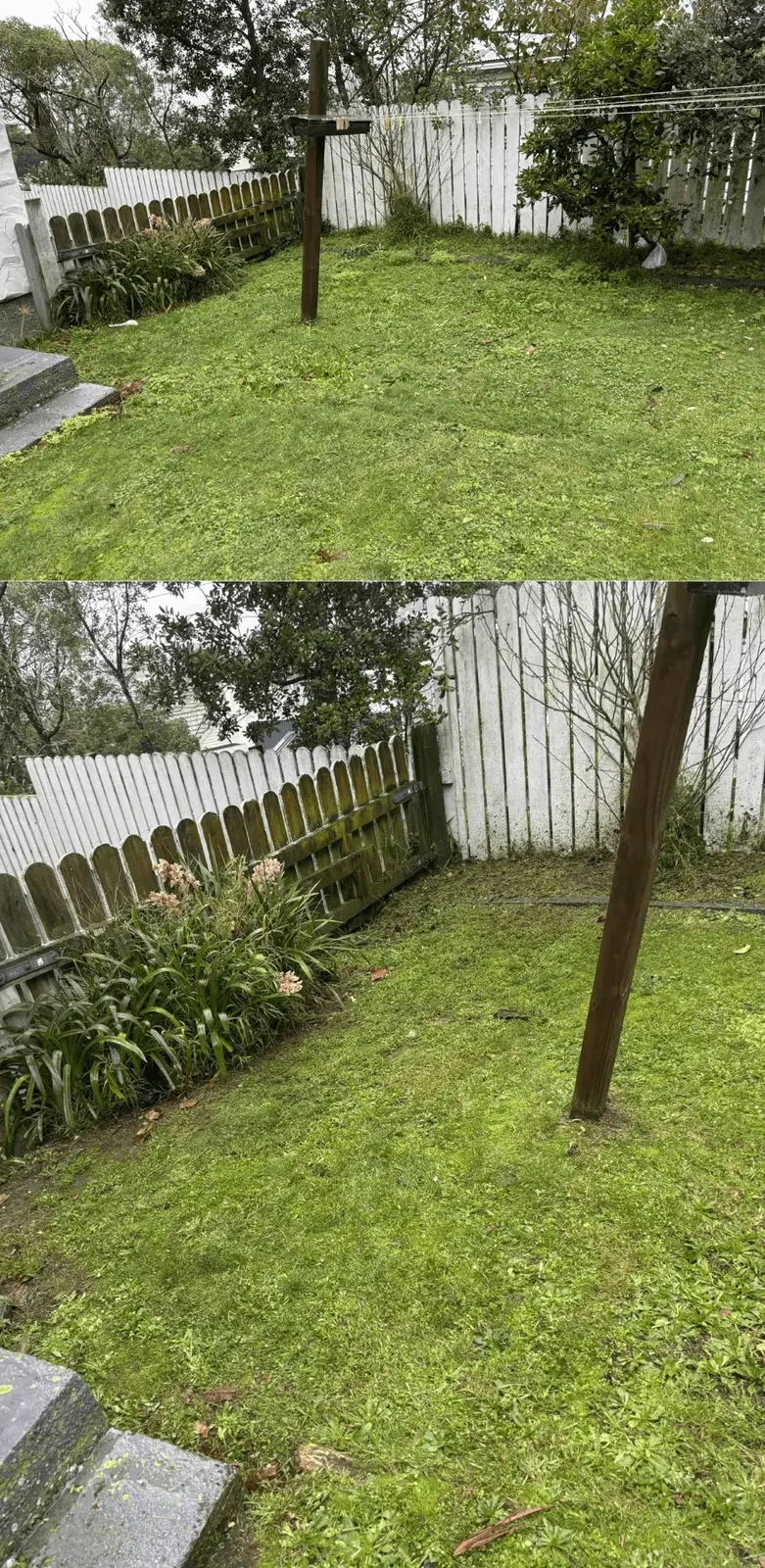 Before and after lawn restoration around a garden