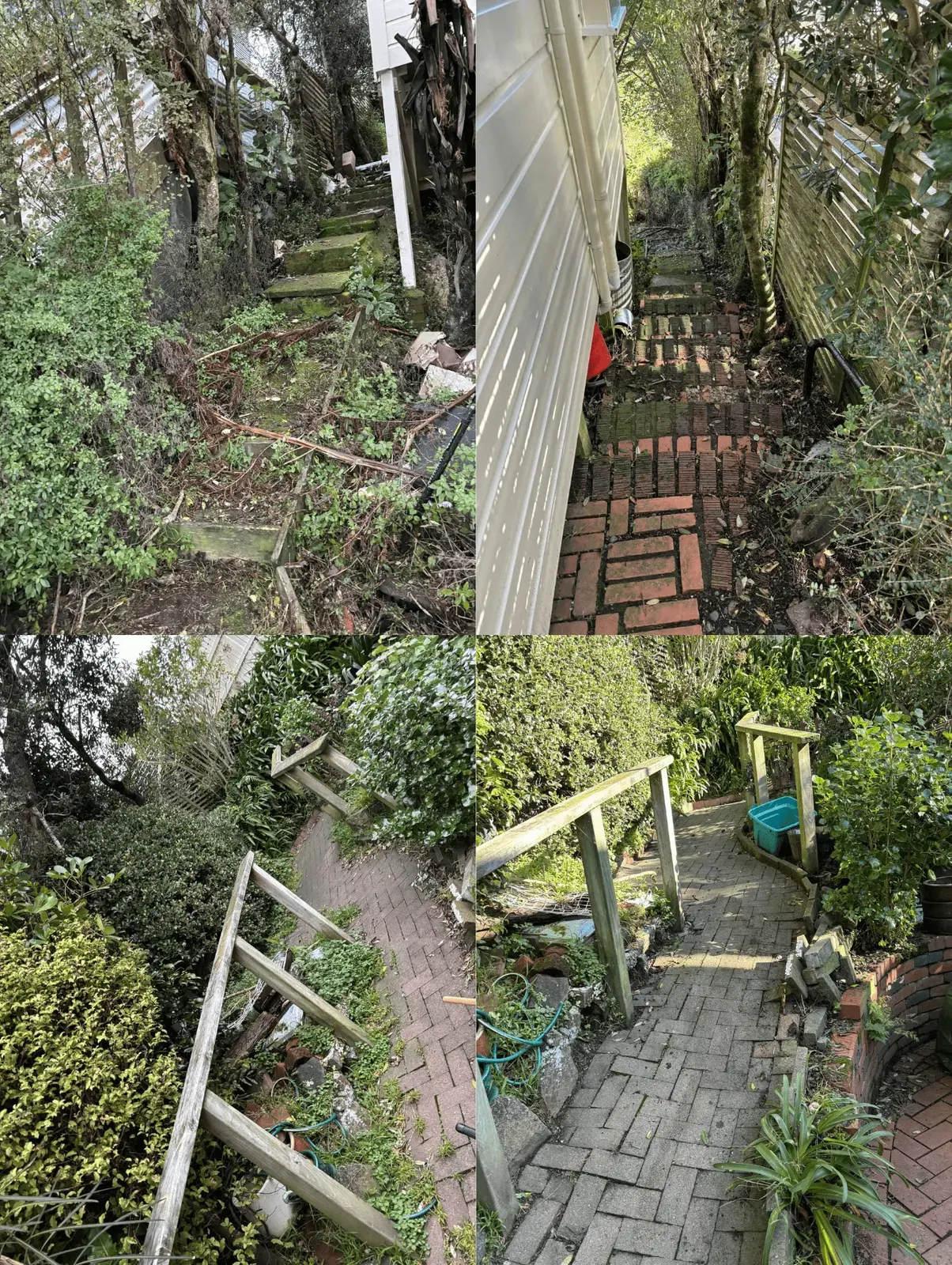 Before and after garden path clearing